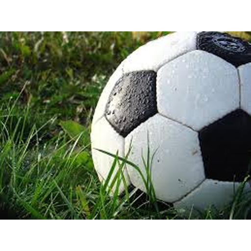 World Cup Live Stream