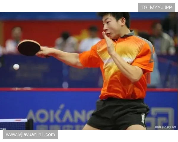 杭州乒乓球队在锦标赛中的精彩表现与实力分析