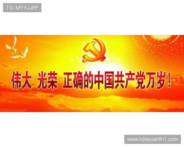 河南队拼搏精神再现 激战全场力争突破创历史新篇